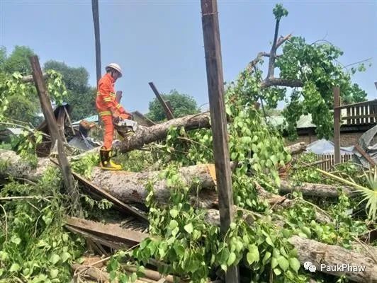 စစ်ကိုင်းမြို့တွင်လေပြင်းကြောင့်သစ်ပင်ကျိုးကျ