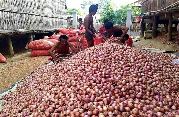 ထိပ်စအရည်အသွေးကြက်သွန်များစျေးမြင့်တက်လာ