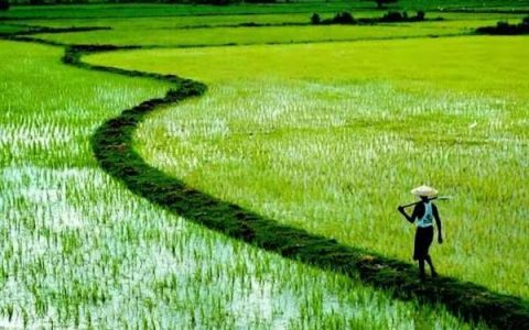 ဆည်တော်ကြီးရေလှောင်တမံမှစိုက်ပျိုးရေပေးဝေသွားမည်