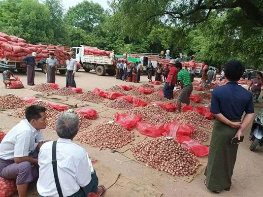 ကြက်သွန်နီဈေးကွက်တွင် ဈေးပိုမြင့်လာနိုင်သည်ဟု ခန့်မှန်း