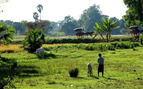 ဒါကအဝေးကြီးက  လာတဲ့ / အေးမြသော  ဆောင်းချဉ်းရာသီ