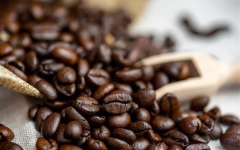 မြန်မာ့ကော်ဖီကို ကမ္ဘာ့ဈေးကွက်တွင် ရပ်တည်နိုင်ရေး ဆောင်ရွက်လျက်ရှိ