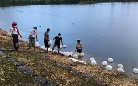 ဟုမ္မလင်းငါးသားပေါက်စခန်းမှကောင်ရေ၄သိန်းထုတ်မည်