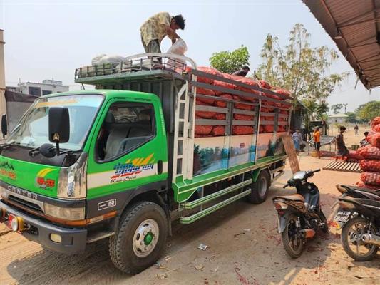 အရည်အသွေးကောင်း ကြက်သွန်နီများကို တရုတ်က ပုံမှန်အဝယ်ရှိ