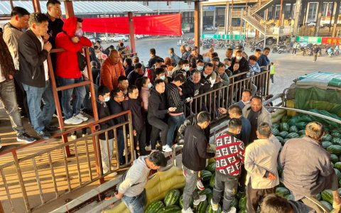ဖရဲ၊ သခွား ရာသီကုန်ချိန်ရောက်ပြီဖြစ်၍ တရုတ်ဈေးကွက်တွင် ဈေးကောင်းရ