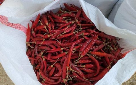 ငရုတ်သီးခြောက်နှင့်ငရုတ်သီးစိုများ ထိုင်းနိုင်ငံမှအဝယ်ရှိနေ