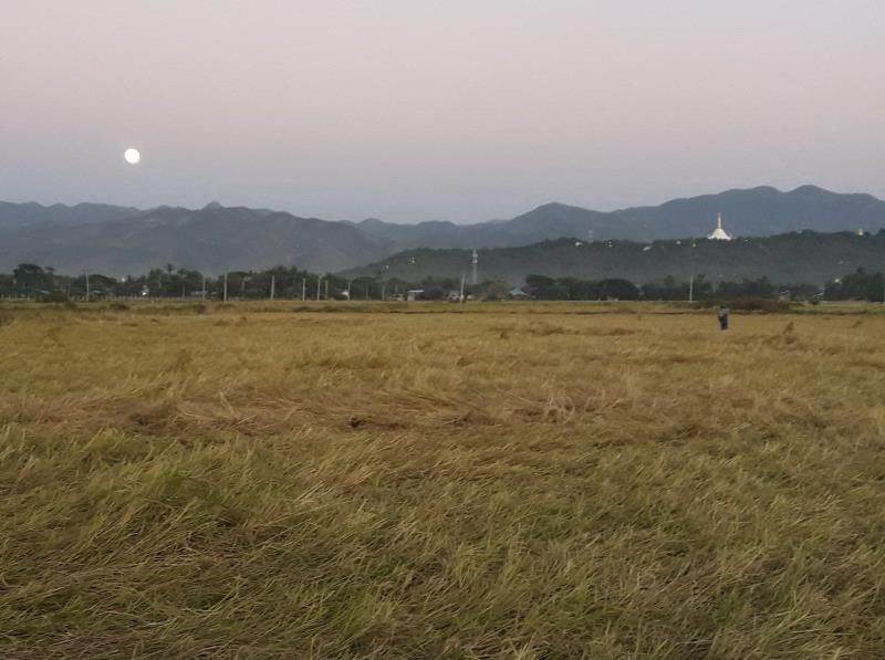 ပုသိမ်ကြီးရှိလယ်ယာမြေများဥပဒေနှင့်အညီဆောင်ရွက်ရန်