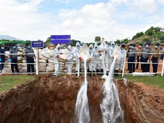 ဖမ်းဆီးရမိ မူးယစ်ဆေးဝါးများ၊ ဓာတုပစ္စည်းများနှင့် ဆက်စပ်ပစ္စည်းများ မီးရှို့ဖျက်ဆီး