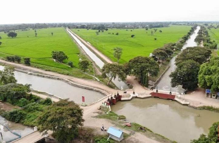 သဖန်းဆိပ်ဆည်ရေသောက်ဧရိယာအတွင်း နွေစပါး (၄၅)ရာခိုင်နှုန်းခန့် စိုက်ပျိုးပြီ