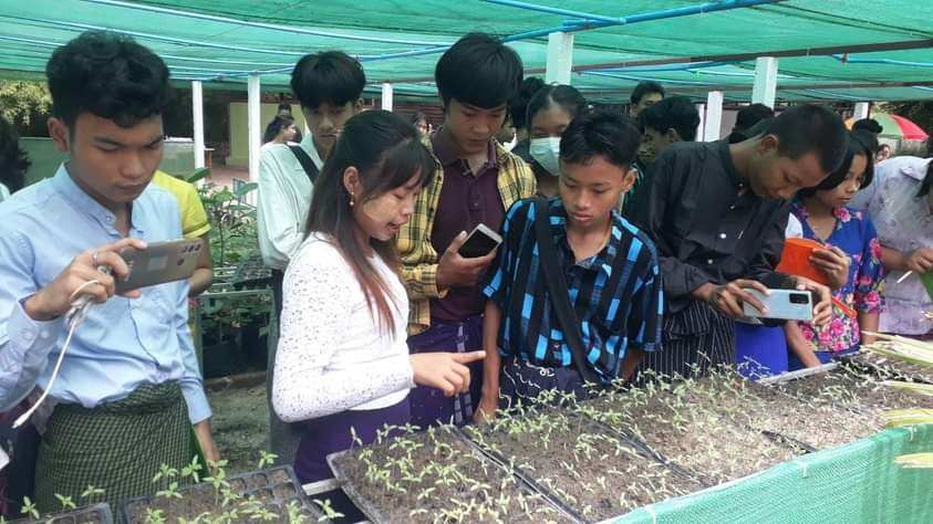 စိုက်ပျိုးရေး၊မွေးမြူရေး အထက်တန်းကျောင်း(အလုံ)မှ ကျောင်းသားကျောင်းသူများ မုံရွာမြို့နယ်စိုက်ပျိုးရေးဦးစီးဌာနတွင်လေ့လာ