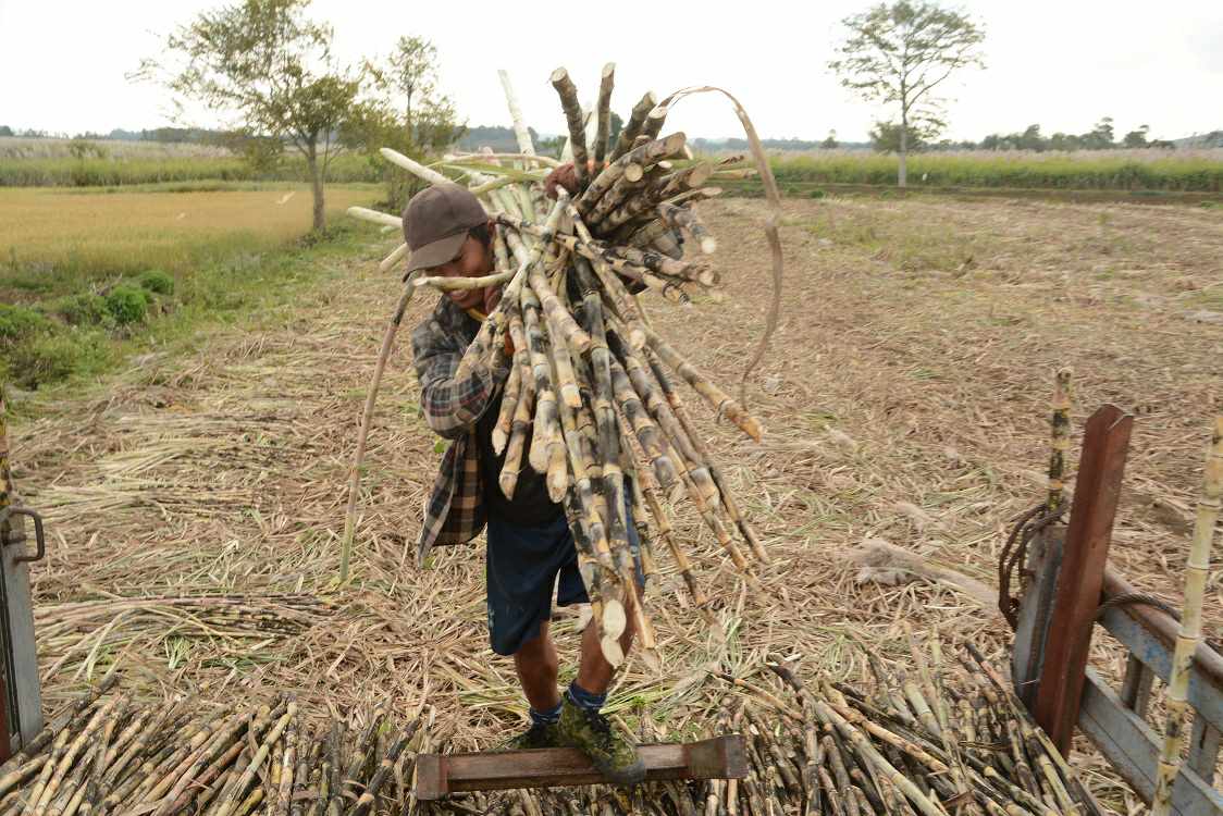 လာမည့်ကြံရာသီတွင် ဝယ်ဈေးတိုးမြှင့်ဝယ်ယူမည်ဟုဆို