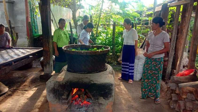 ခေါင်ခမ်းကျေးရွာထွက် လက်ဖက်စို၊ လက်ဖက်ခြောက်များ စက်အားဖြင့်ထုတ်လုပ်ရာတွင် လုပ်ငန်းပိုတွင်ကျယ်လာ